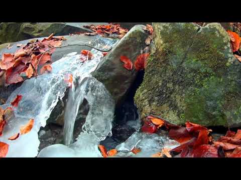 Mid-winter nature-based meditation from Earthworks, Scotland