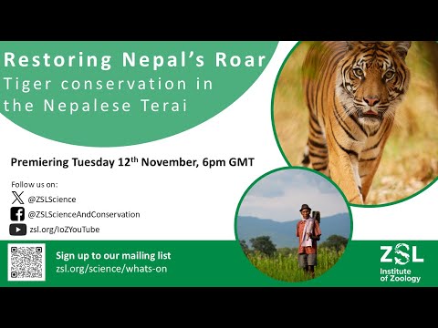 Restoring Nepal's Roar: Tiger Conservation in the Nepalese Terai