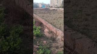  Residential Plot for Sale in Sundarpada, Bhubaneswar
