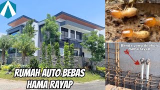 Cara mencegah rumah dari hama rayap