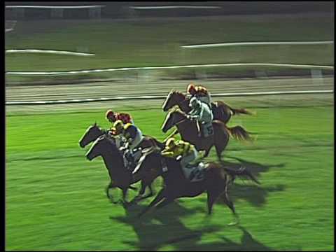 Galoppo 07/12/2016 - 4ª corsa