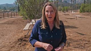 Ramona, California on Traveling With Françoise