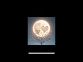 Tyler The Creator Kali Uchis See You Again Super Slowed Reverb