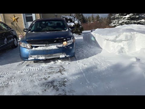 Aufräumarbeiten nach dem Sturm