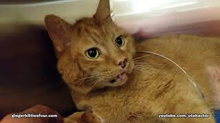 Visiting Zeus at the Pet Hospital