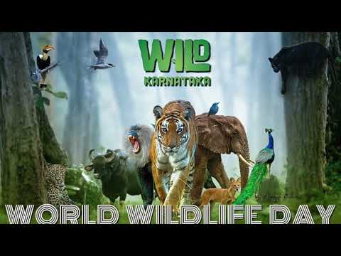 Vikas Sharma Voice-over done for Discovery Plus