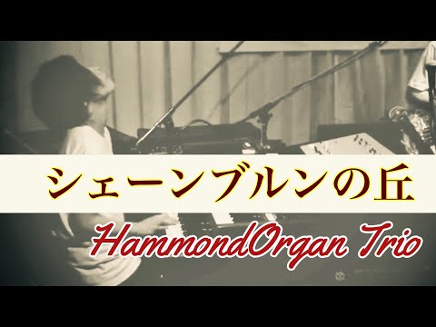 シェーンブルンの丘  BANANA NEEDLE Live in 四ツ谷Doppo