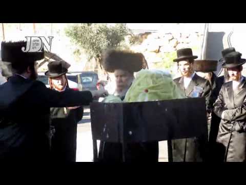 Lelov Rebbe From NY In Miron - Shevat 5774