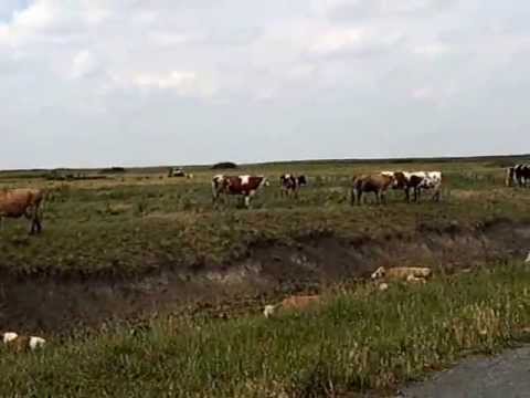 Beregsau Mic2 201306