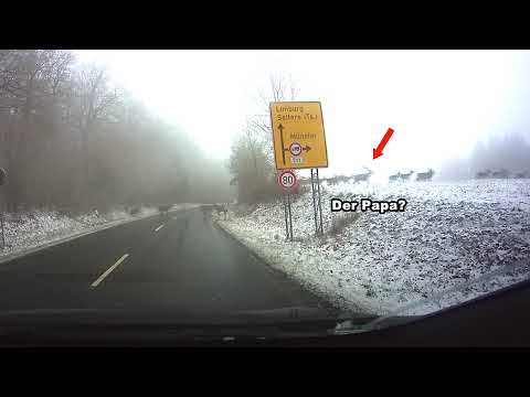 Die Mutter der Wildwechsel