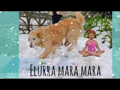 Haurrentzako YOGA 🧘🏽‍♀️ - Elurra MARA MARA! ❄️
