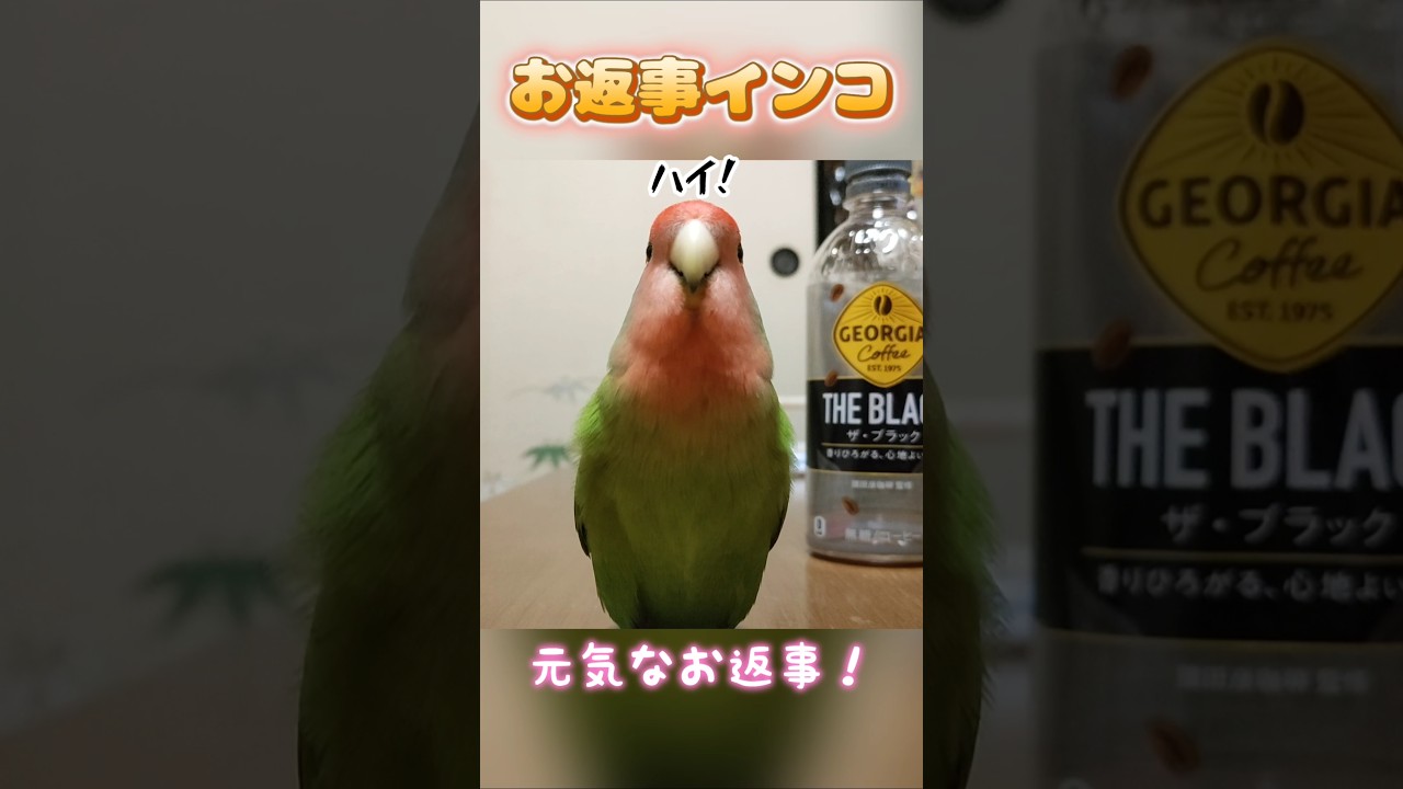 キーちゃんの元気なお返事！