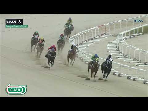 (Busan) 2024.11.17 R6 Class Open (1200M) Special Weight A / Gyeongnam DoMin Ilbo Trophy (Juvenile-L)