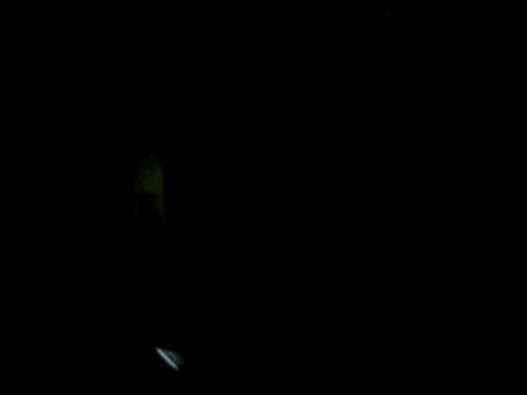 Amazon Adventure - Dusk in the Amazon on Lago Tabocal Peru