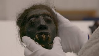 DNA Analysis Reveals Troubling News About Shrunken Heads