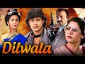 Mithun Chakraborty S Full Hindi Movie Dilwala Meenakshi Sheshadri Bollywood Action Movie