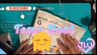 Temu Haul - A Small but Fun Craft Haul🛒🛍️🤗
