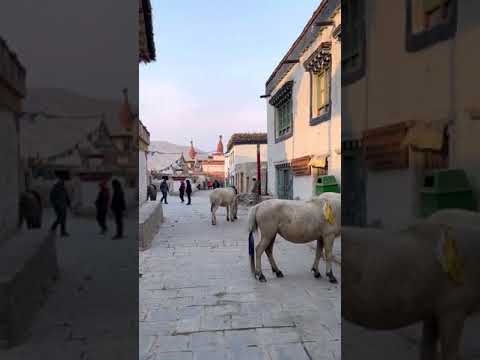 Upper mustang (lo manthang): a hidden kingdom of Nepal.