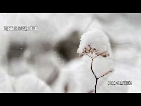 Emigrante  - Yjet e Panjohur