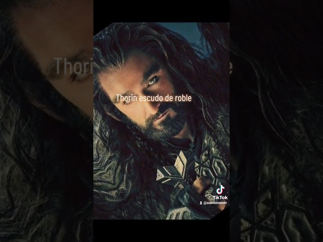 Vídeo relacionado con Thorin viviendo la vida de Thorin Nombre Divertido Sudadera