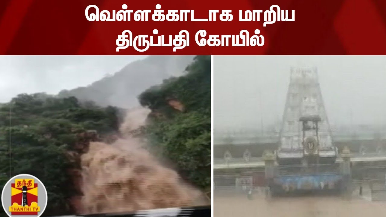 வெள்ளக்காடாக மாறிய திருப்பதி கோயில் | Tirupati