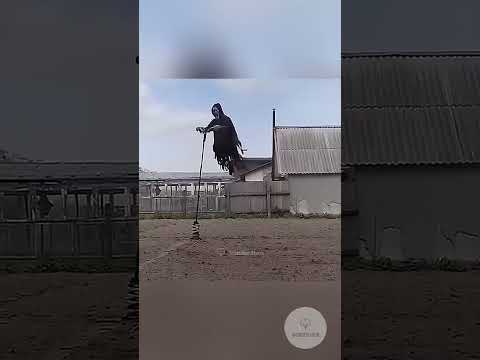 Scary Scarecrows !? #funny #amazing #jugaad #innovation #halloween #scary #dangerous #epic #funfacts