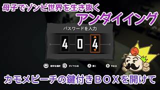 #38 38日目、ビーチの鍵付きＢＯＸを開けてみた『アンダイイング(UNDYING)』セザキングのゲーム実況