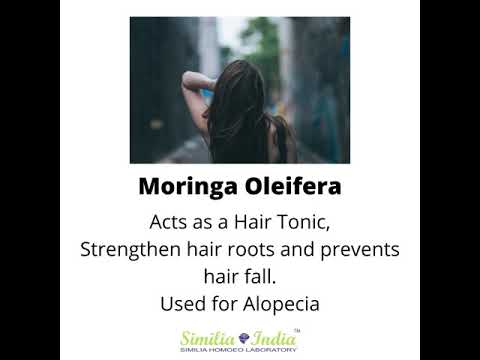 Moringa oleifera mother tincture