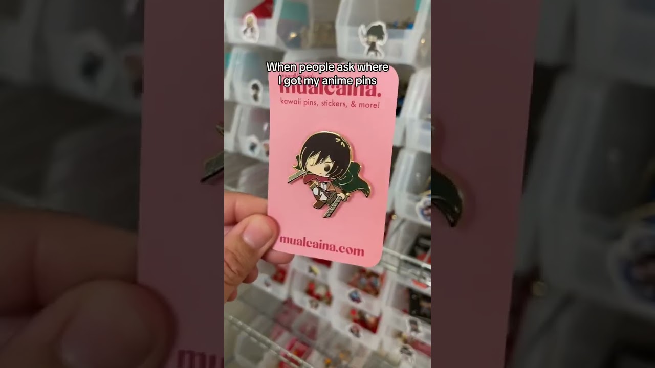 When people wonder where I got my anime pins