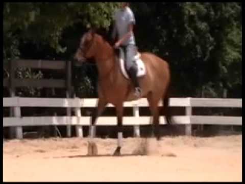 Out of Africa - Flat