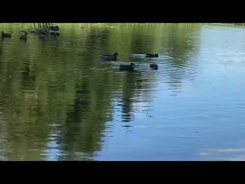 Bondyrz Chata Rybaka -Kajaki Przy Wodospadzie