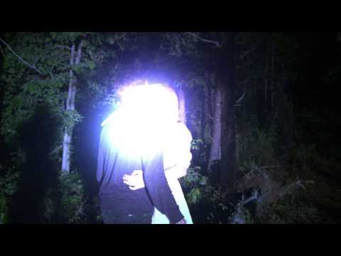 Video $Nightfur