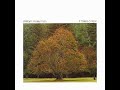 Bricklayer's Beautiful Daughter | William Ackerman |1975 | It Takes A Year | 1977 Windham Hill LP