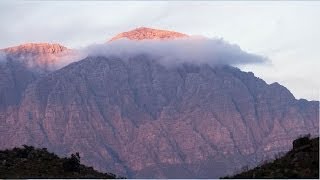 *"* When A Child Is Born *"* (Musical Instrumental)