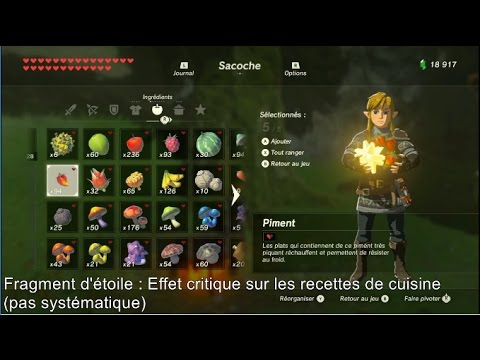 The Legend of Zelda: BotW - L'utilité des fragments d'étoiles