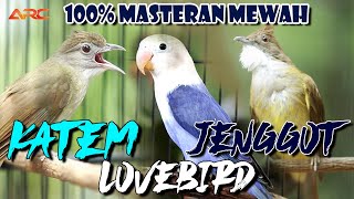 Download lagu MASTERAN KAPAS TEMBAK - LOVEBIRD -  JENGGOT | KOLABORASI MEWAH mp3