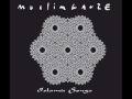 Muslimgauze - Tourist Vice Hole