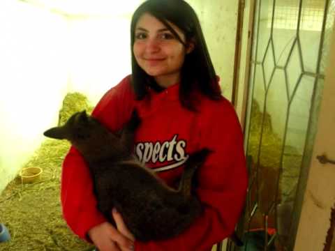 Ajax High goes to Nova's Ark