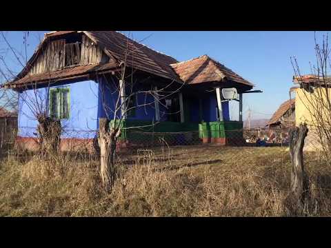 IURIU DE CAMPIE-19-02-2020