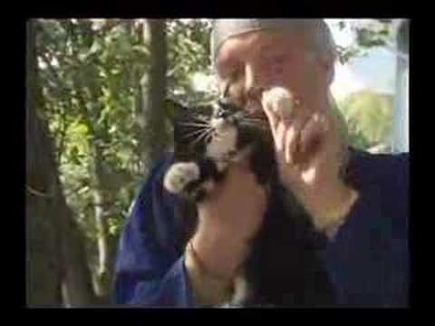 TPB - J-ROC Kitty Turntables (Deleted Scene)