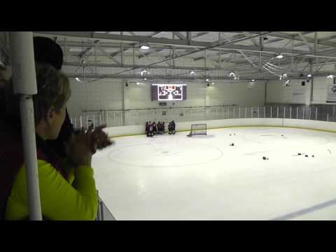 Vasas - Gepárd III/1