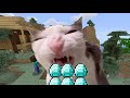 Crunchycat Eating MINECRAFT DIAMONDS For 1 Hour