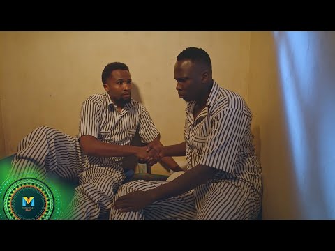 Nelson offers to help Reagan – Selina | S6 | EP 256-260 | Maisha Magic East