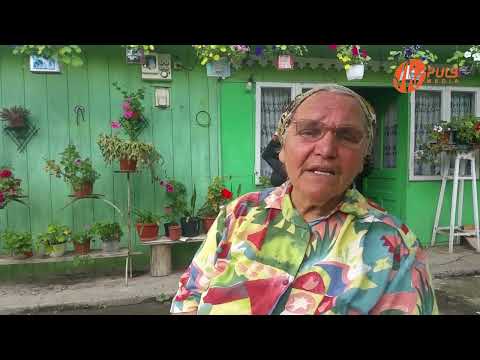 Viorica Ciobanu - A căzut o frunză (poezie)