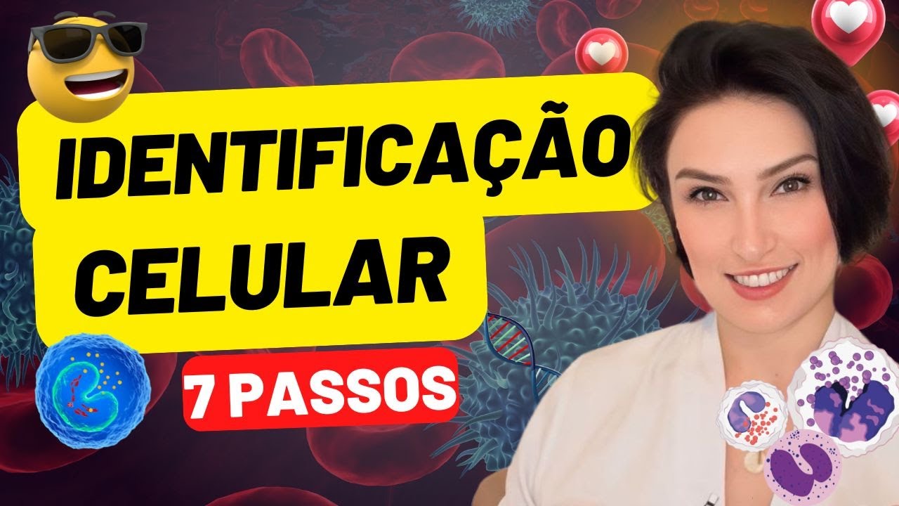 Identificação de Células Hematológicas 7 Passos Mais Fáceis