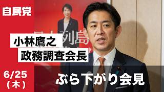 皇室典範に関する全体会議後 #小林鷹之 政務調査会長 ぶら下がり会見(2026.6.25)