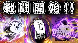 やりますか！！！！