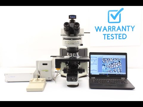 Olympus BX53 Fluorescence Motorized XY Microscope w/ (New Filters)