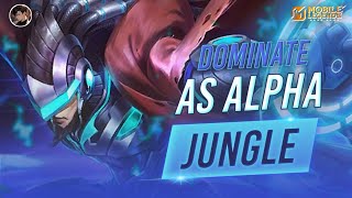 Achieve MYTHIC Easily with Alpha in SOLO RANK! | Full Guide + Best Build & Tips!