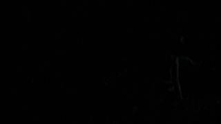 Great Blue Heron 2010 Funk in the Woods - Late nite robot man dance